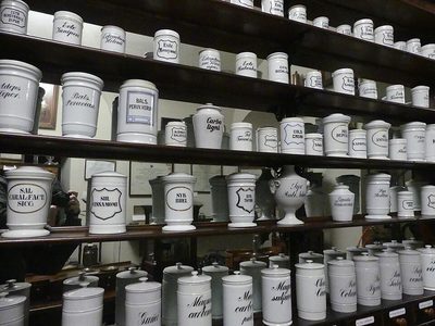 Thực Tập Sinh Chăm Sóc Khách Hàng Ngành Dược Khu Vực Trung Tâm - Công ty TNHH Tư Vấn Dịch Vụ Chồi Xanh