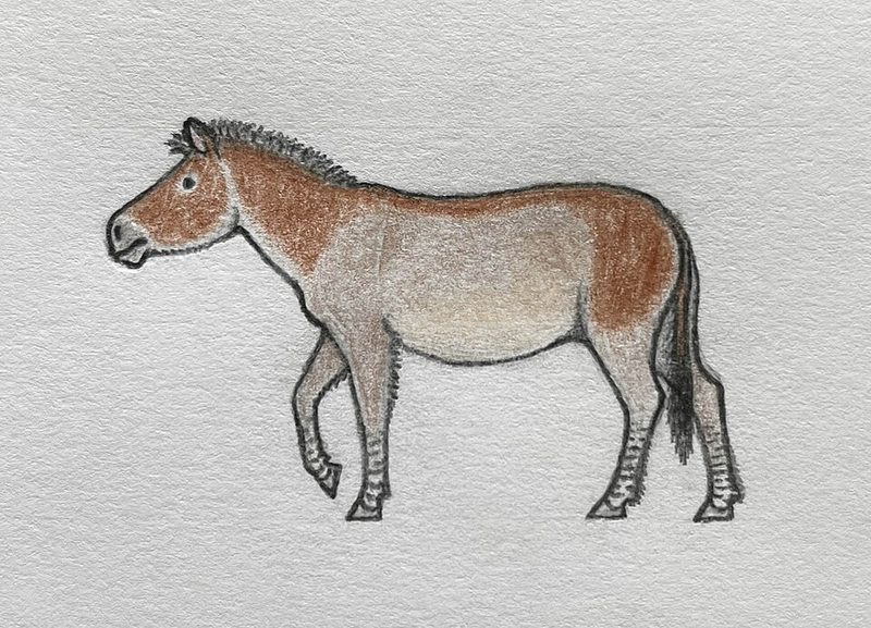 Thực Tập Sinh Thiết Kế Bao Bì